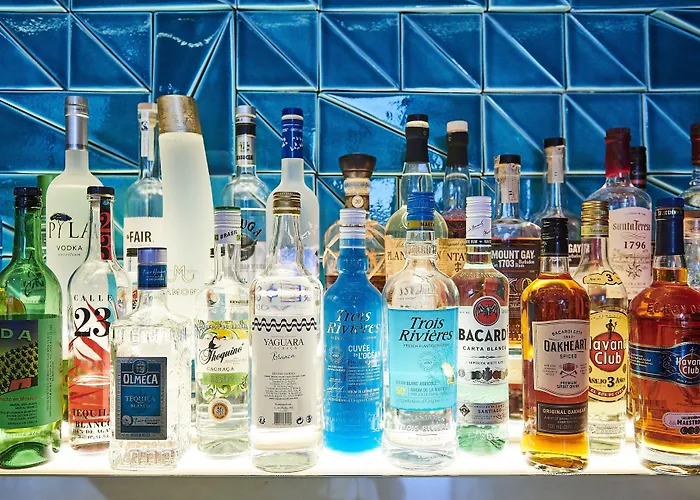 假日度假尼斯酒店 酒店