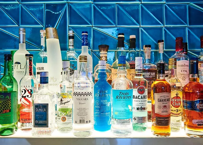 酒店 假日度假尼斯酒店 尼斯