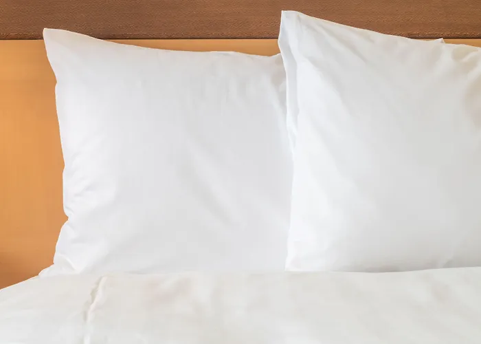 هوليداي إن نيس